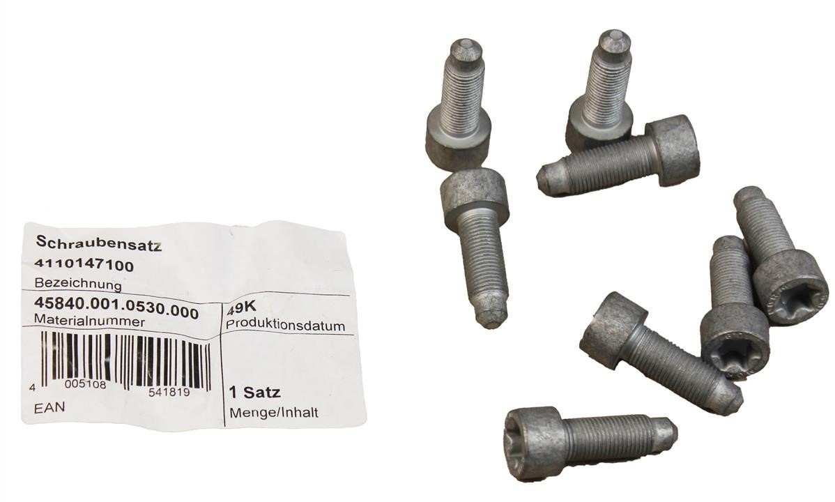 Flywheel mounting bolts, kit Luk 411 0147 10
