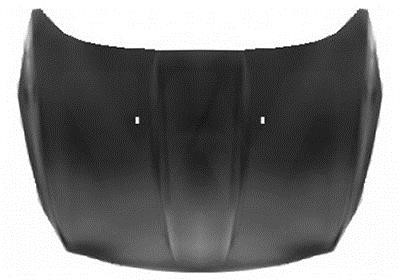 1906670 Van Wezel Hood