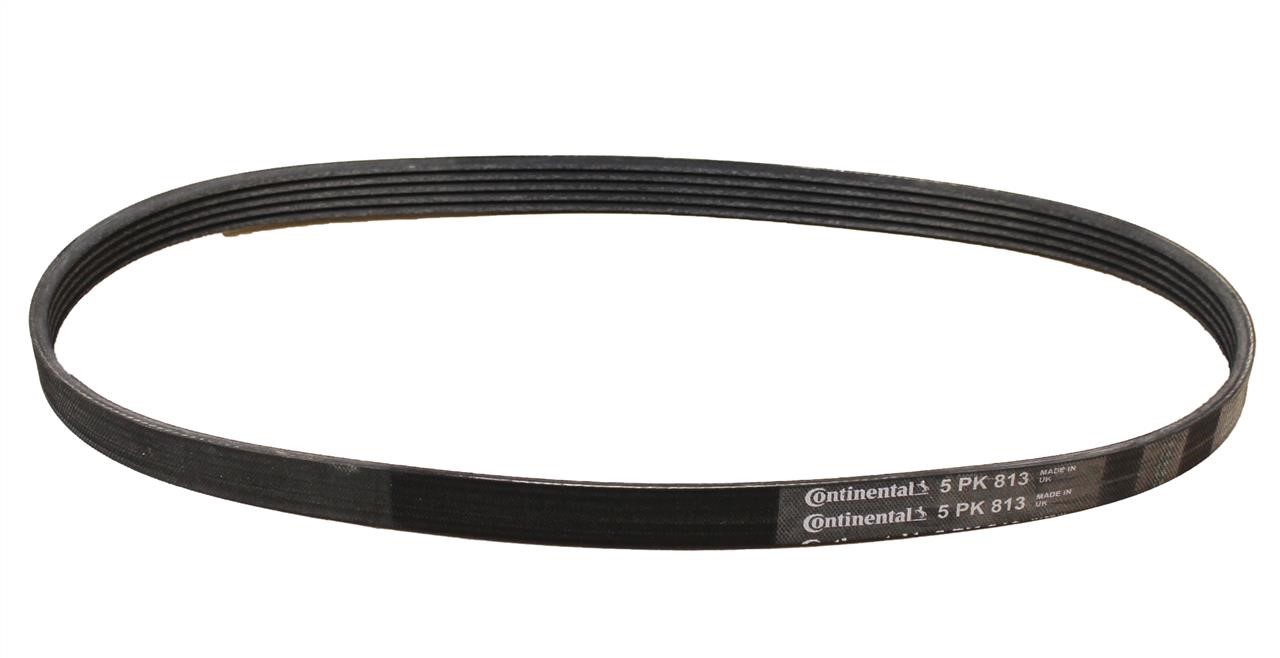 Contitech 5PK813 V-ribbed belt 5PK813 5PK813