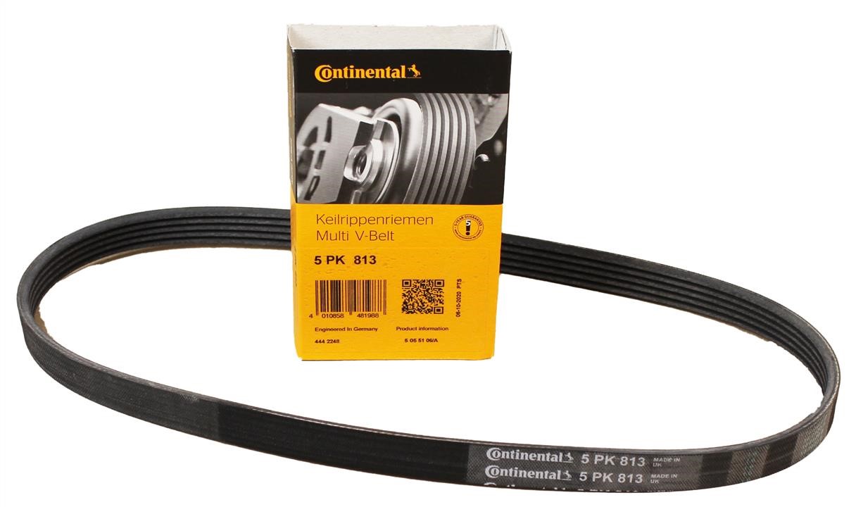 Buy Contitech 5PK813 at a low price in United Arab Emirates!