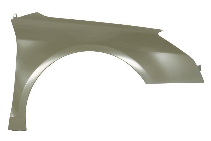 Front wing fender Citroen C5: 6504040526312K Blic Front fender