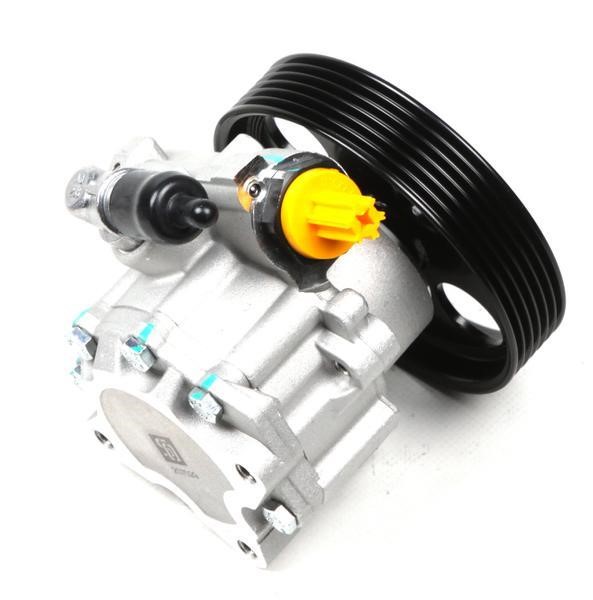 Hydraulic Pump, steering system Solgy 207029