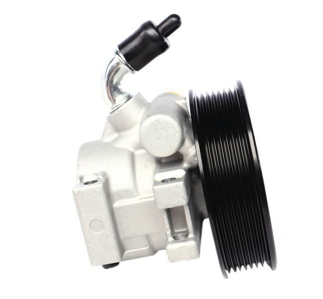 Hydraulic Pump, steering system Solgy 207051