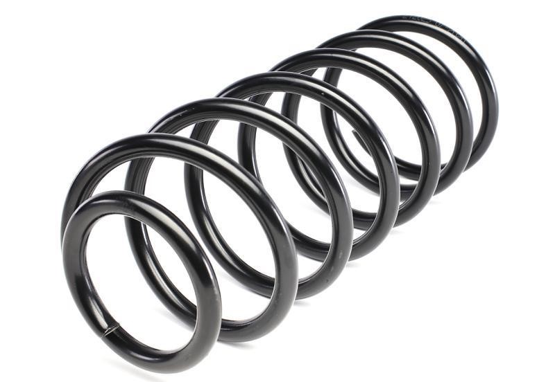 Suspension spring front Solgy 212025