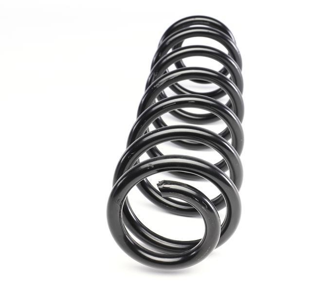 Solgy Suspension spring front – price
