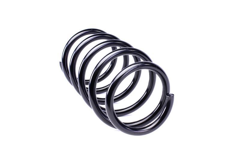 Solgy 212019 Suspension spring front 212019