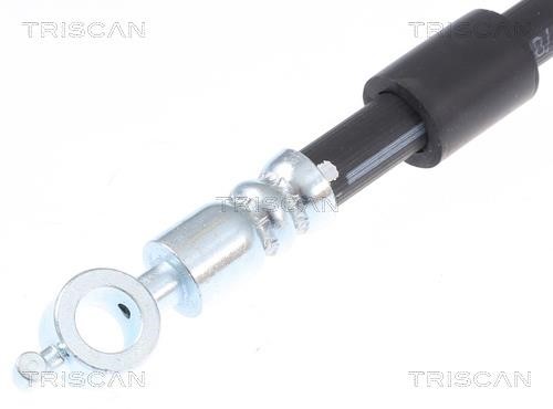 Brake Hose Triscan 8150 162002