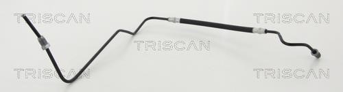Flexible brake pipe Renault Fluence: 815025267 Triscan Brake Hose