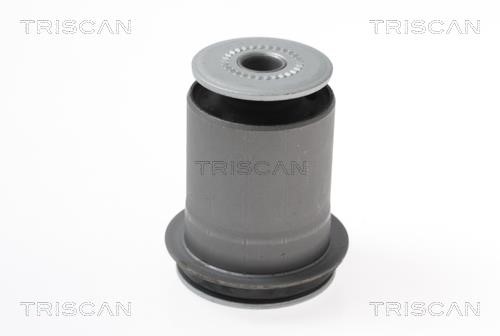 Triscan 8500 13853 Control Arm-/Trailing Arm Bush 850013853
