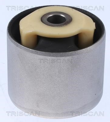 Triscan 8500 17810 Control Arm-/Trailing Arm Bush 850017810