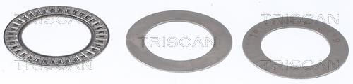 850024925 Triscan Shock absorber bearing