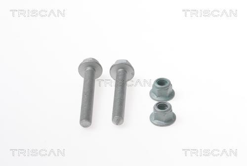Triscan 8500 29405 Suspension arm bolt kit 850029405 850029405 Triscan Suspension arm bolt kit