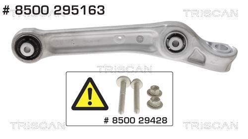Triscan 8500 295163 Track Control Arm 8500295163