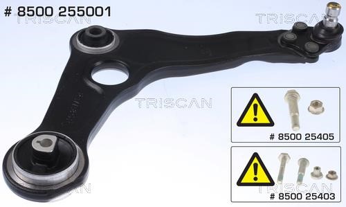 Triscan 8500 255001 Track Control Arm 8500255001
