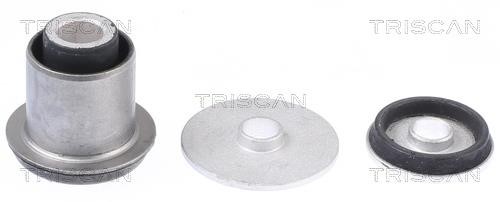 Triscan 8500 298066 Control Arm-/Trailing Arm Bush 8500298066