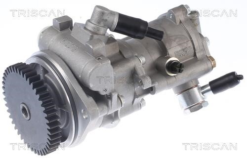 Hydraulic Pump, steering system Triscan 8515 29689