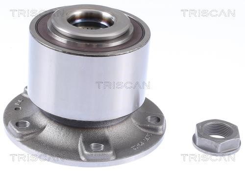 Triscan 8530 28243 Wheel hub with bearing 853028243