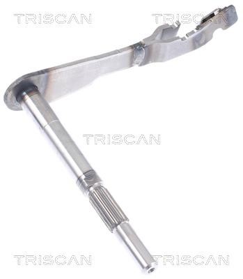 Triscan 8550 10070 clutch fork 855010070