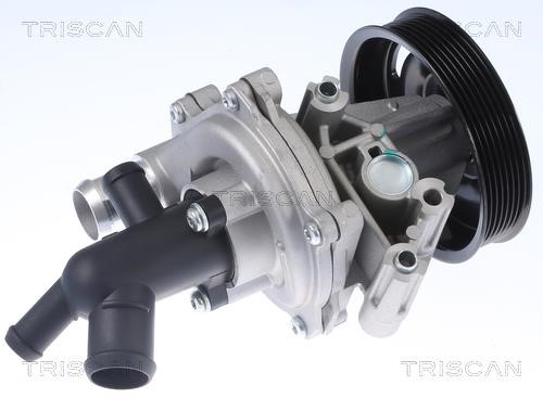 Triscan 8600 16071 Water pump 860016071