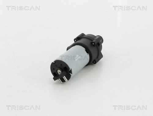 Water pump Triscan 8600 23066