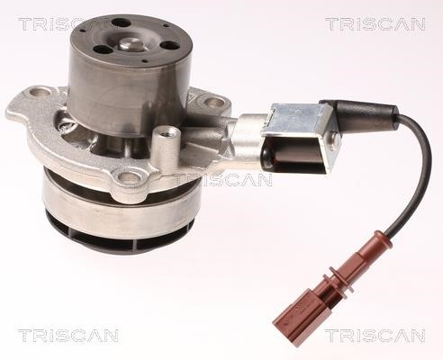 Triscan 8600 29065V Water pump 860029065V
