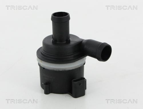 Triscan 8600 29081 Water pump 860029081