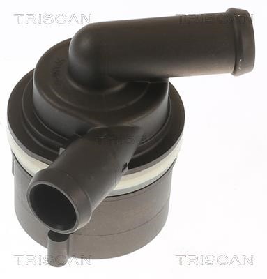 Triscan 8600 29095 Water pump 860029095