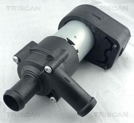 Triscan 8600 80020 Water pump 860080020