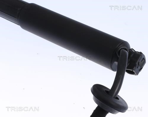 Tailgate strut Triscan 8710 27301