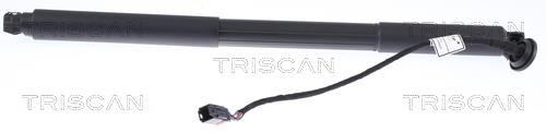 871027302 Triscan Tailgate strut