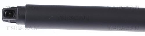 Tailgate strut Triscan 8710 27302