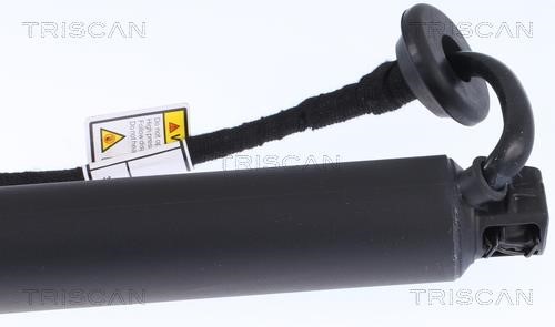 Buy Triscan 8710 27302 at a low price in United Arab Emirates!