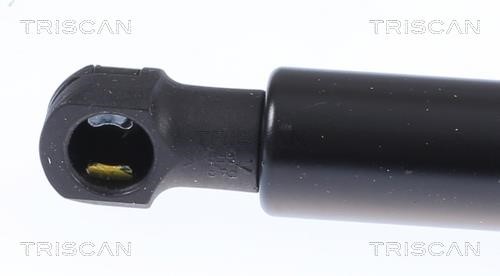 Tailgate strut Triscan 8710 28300