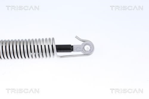 Tailgate strut Triscan 8710 112014