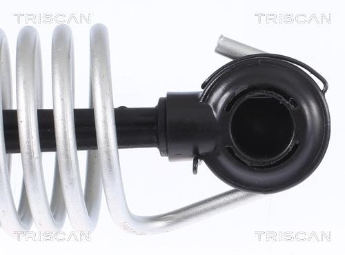 Tailgate strut Triscan 8710 112015