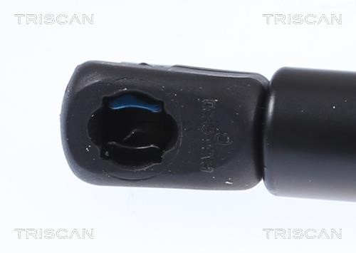 Buy Triscan 8710 29151 at a low price in United Arab Emirates!