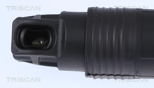 Tailgate strut Triscan 8710 11301