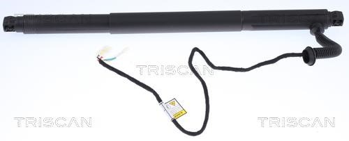 871011302 Triscan Tailgate strut