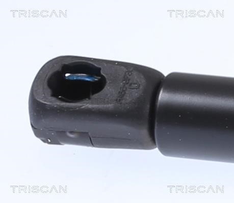 Hood shock absorber Triscan 8710 29153