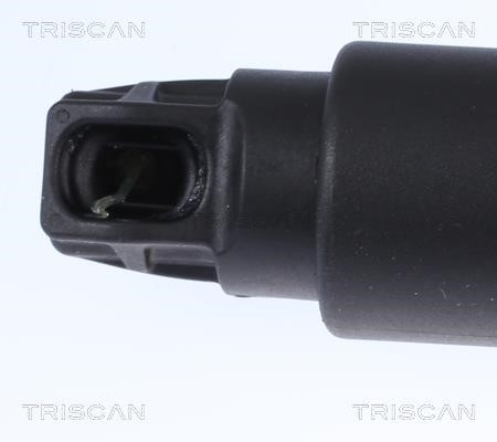 Tailgate strut Triscan 8710 11303