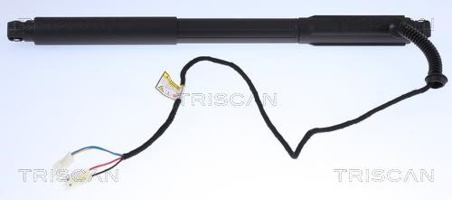 871011304 Triscan Tailgate strut