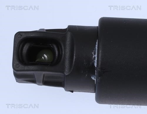 Tailgate strut Triscan 8710 11304