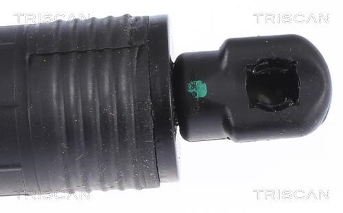 Gas Spring, boot-&#x2F;cargo area Triscan 8710 11305