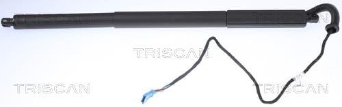 Triscan 8710 11306 Tailgate strut 871011306 871011306 Triscan Tailgate strut