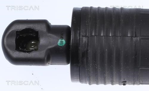 Tailgate strut Triscan 8710 11306