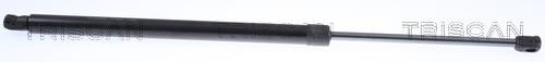 8710292062 Triscan Tailgate strut