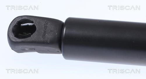 Tailgate strut Triscan 8710 15257