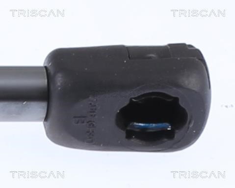 Buy Triscan 8710 15257 at a low price in United Arab Emirates!
