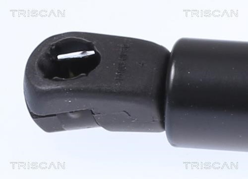 Tailgate strut Triscan 8710 292062