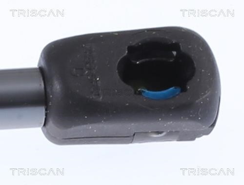 Buy Triscan 8710 292062 at a low price in United Arab Emirates!